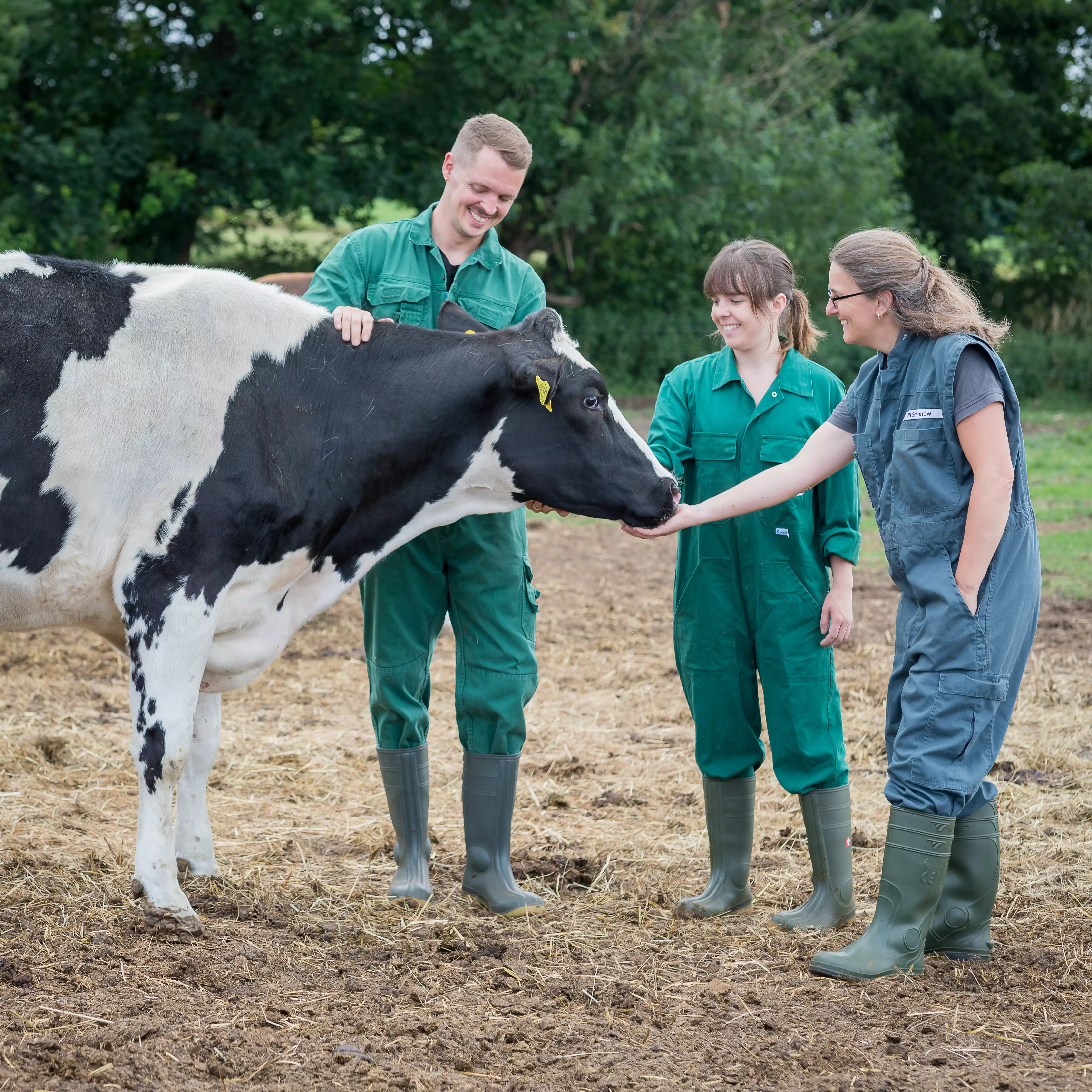 Eigenbestandsbesamer/in Rind