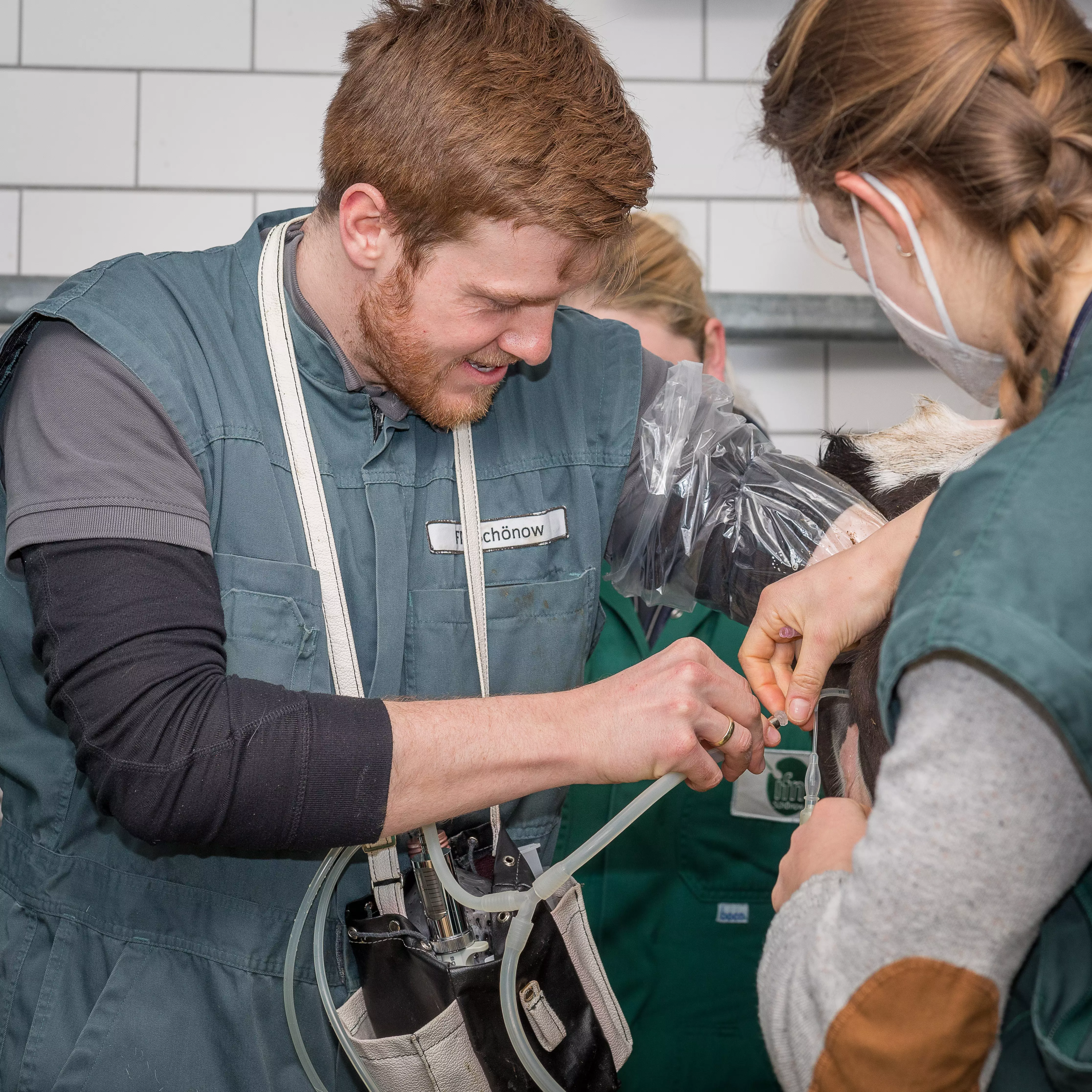 Embryotransfertechniker/in Rind