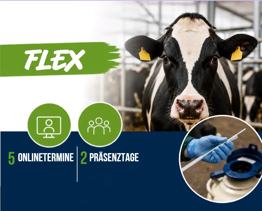 Eigenbestandsbesamer/in Rind FLEX